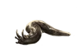 HornedSlug.png