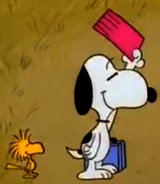 VolteParaCasaSnoopy1