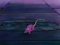 BojackRat