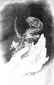 Babyraptor