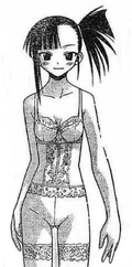 Mahou-sensei-negima-3372152