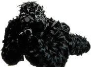 ReconFirstLook