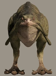 Nuna bg.jpg