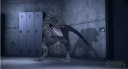 Rapopregen.JPG