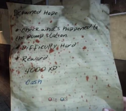 DI Drowned Hope