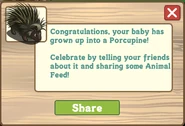Porcupine message