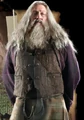 Abelforth Dumbledore 2.jpg