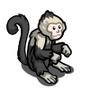 Capuchin Monkey-icon