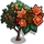 African Tulip Tree-icon