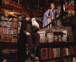 PromoHP2 Harry Potter Gilderoy Lockhart.jpg