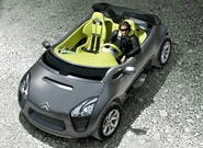 Citroen-c-buggy-top