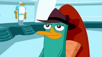 Perry smiles
