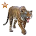 Malayan Tiger