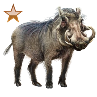 Huge item warthog bronze 01.png