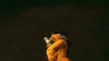 DeadYamcha(UT)