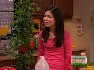 CarlytakingSamcommentinstride