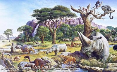 Paleocene 1