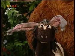 Pferddonkey