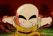 Krillin10