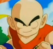 Krillin16