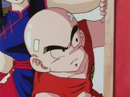 Krillin4