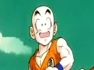 Krillin13
