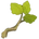 Hazel Cutting