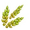Grain of Barley