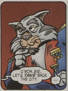 TigStripe