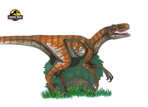 jp velociraptor