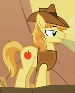 Braeburn.png