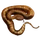 Item amazonpitviper 01
