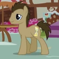 Doctor Whooves