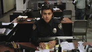 PLL212-01043