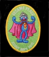2011 Scout patch