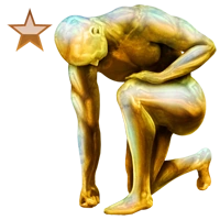 Huge item golddustarmor bronze 01.png