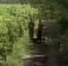 Vineyard workers 1.jpg (4 KB) Vineyard workers 1