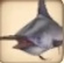 Swordfish
