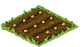 Potatoes Seed
