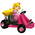 PeachSuperCircuit.png