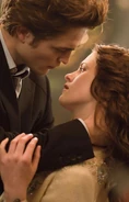 NewOldTwilightStill