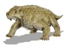Bradysaurus sp
