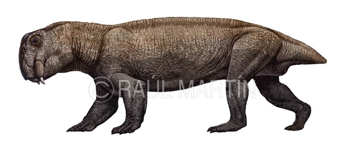 [Image: Lystrosaurus.jpg]