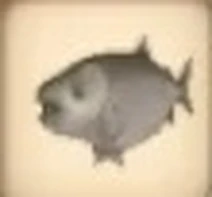 Trout
