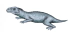 Procolophon brasiliensis