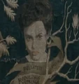 Bellatrix Black (arbre généalogique).PNG