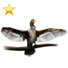 Cormorant