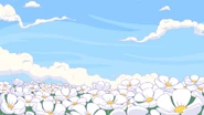 Marshflowers