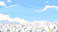 Marshflowers