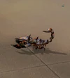 Venomblood Scorpid
